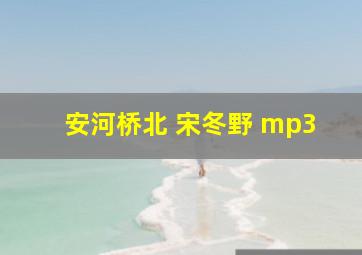 安河桥北 宋冬野 mp3